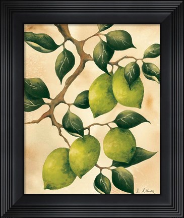 Framed Italian Harvest - Limes Print