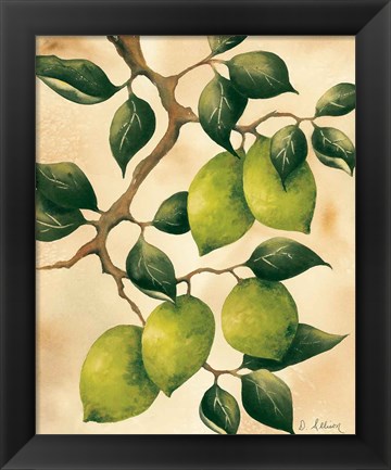 Framed Italian Harvest - Limes Print