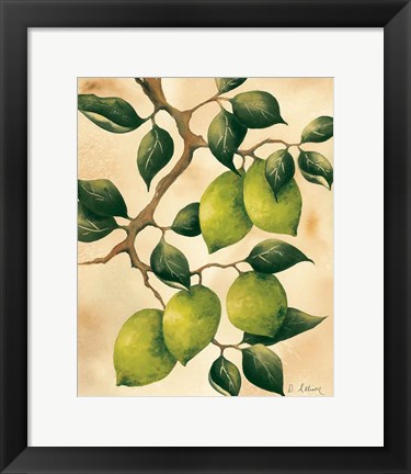 Framed Italian Harvest - Limes Print