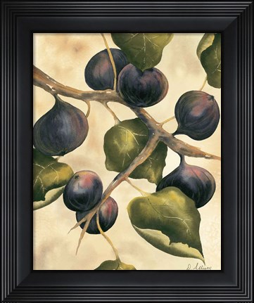 Framed Italian Harvest - Figs Print