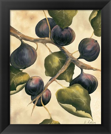 Framed Italian Harvest - Figs Print