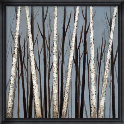 Framed Birch Shadows Print