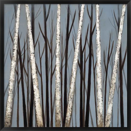 Framed Birch Shadows Print