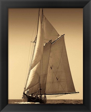 Framed Under Sail I Print