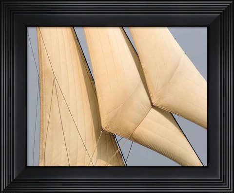 Framed Windward I Print