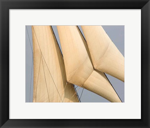 Framed Windward I Print