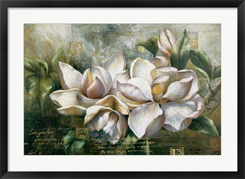 Framed Dawning Magnolias Print