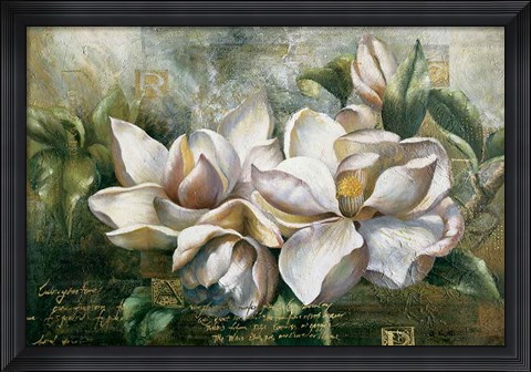 Framed Dawning Magnolias Print