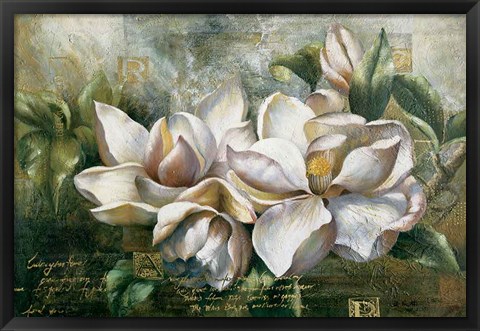 Framed Dawning Magnolias Print