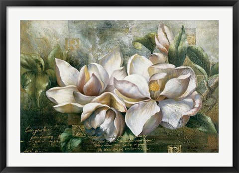 Framed Dawning Magnolias Print