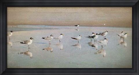 Framed Coastal Reflections Print