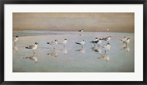 Framed Coastal Reflections Print