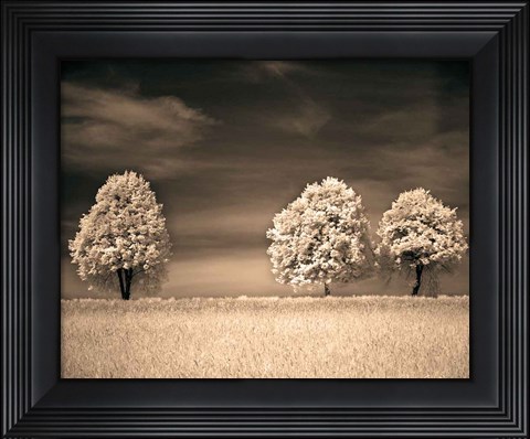 Framed Together and Alone II Print
