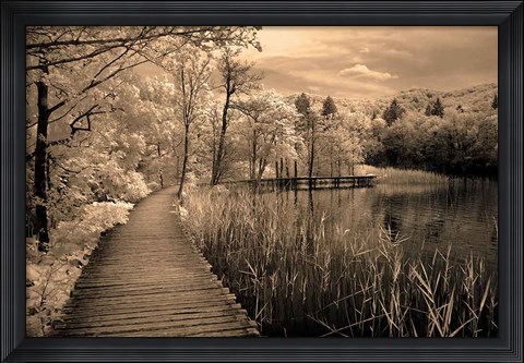 Framed Take My Lead II Print