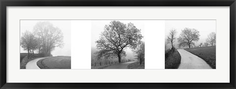 Framed Foggy Afternoon Print