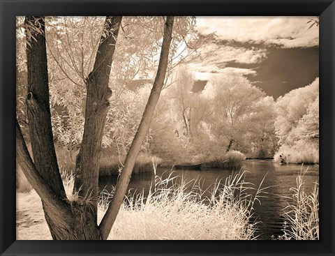 Framed Lakefront View I Print