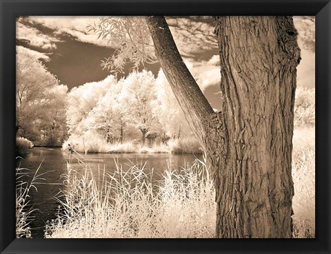 Framed Lakefront View II Print