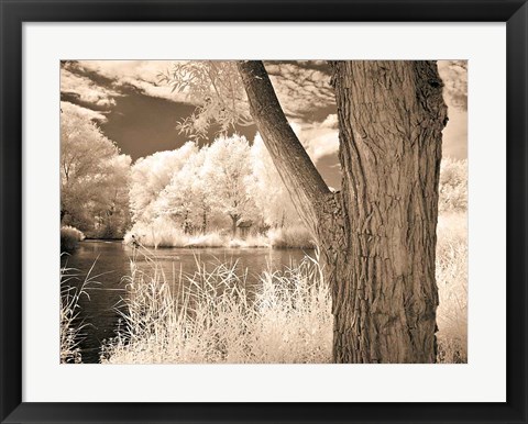 Framed Lakefront View II Print