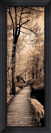 Framed Quiet Stroll I Print