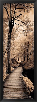 Framed Quiet Stroll I Print