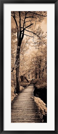 Framed Quiet Stroll I Print