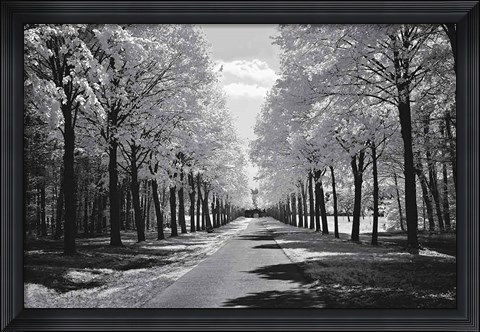 Framed Sublime Print