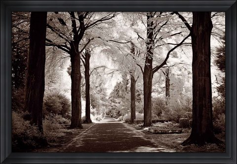 Framed Arcadia Print