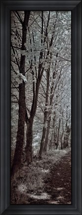 Framed Walk To Remember I Print