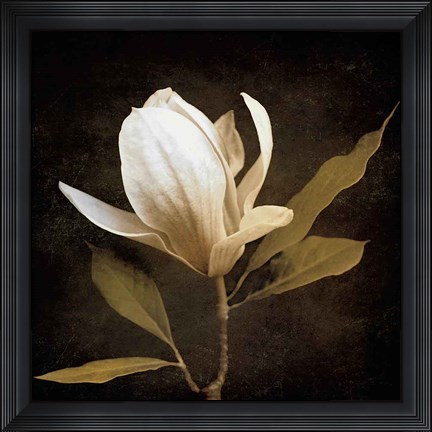 Framed Grandeur Print