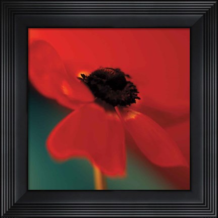 Framed Red on Turquoise Print