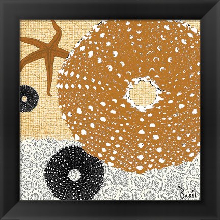 Framed Tidepool Dreams I Print