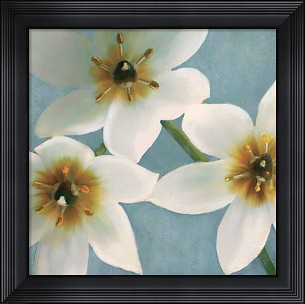Framed Lily Parfait I Print