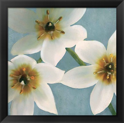 Framed Lily Parfait I Print