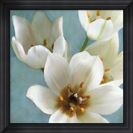 Framed Lily Parfait II Print