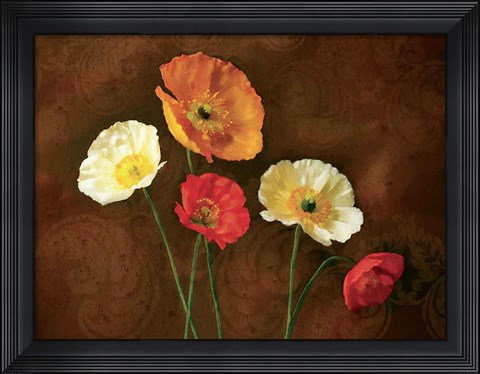 Framed Poppy Perfection I Print
