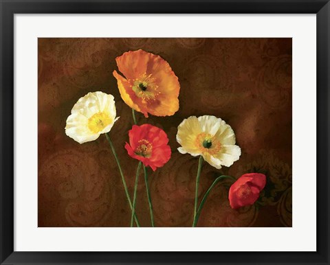 Framed Poppy Perfection I Print