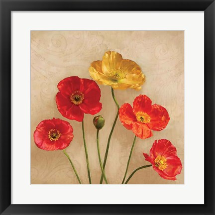 Framed Graceful Spring II Print