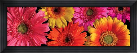 Framed Simply Spring Print