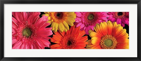 Framed Simply Spring Print