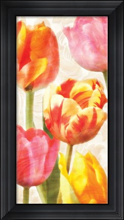 Framed Glowing Tulips II Print