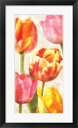 Framed Glowing Tulips II Print