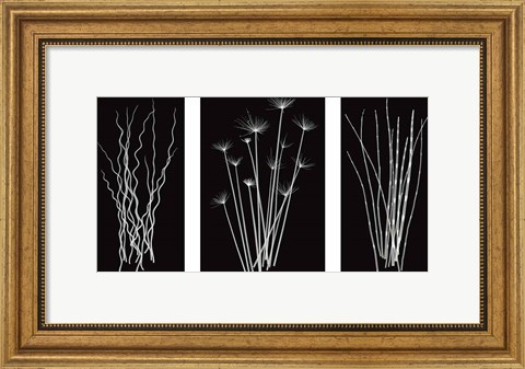 Framed Three Rushes Print