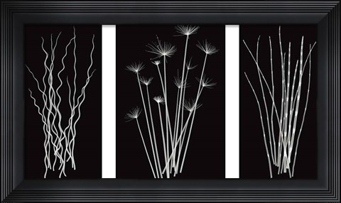 Framed Three Rushes Print