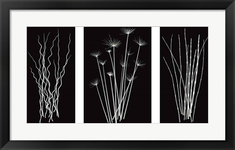 Framed Three Rushes Print