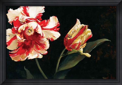 Framed Resplendent Print