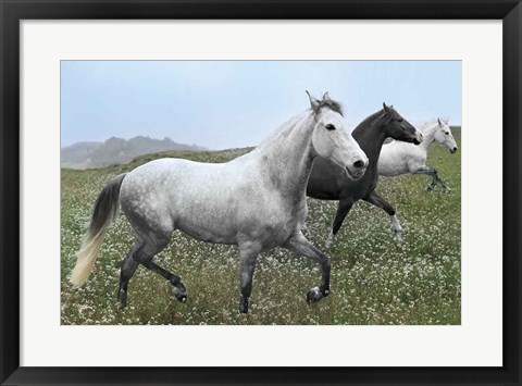 Framed Perfect Pasture Print
