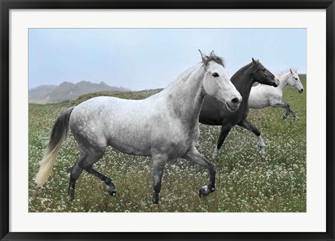 Framed Perfect Pasture Print