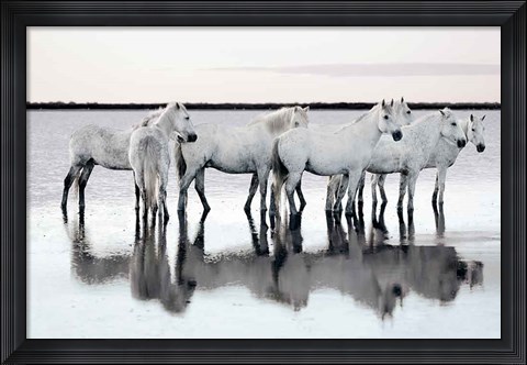 Framed Calm Waters Print