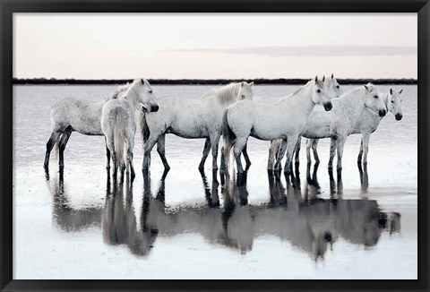 Framed Calm Waters Print