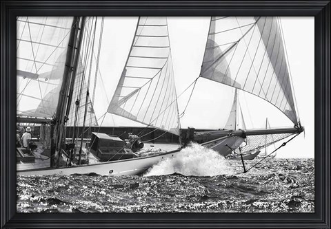 Framed Free Sailing Print